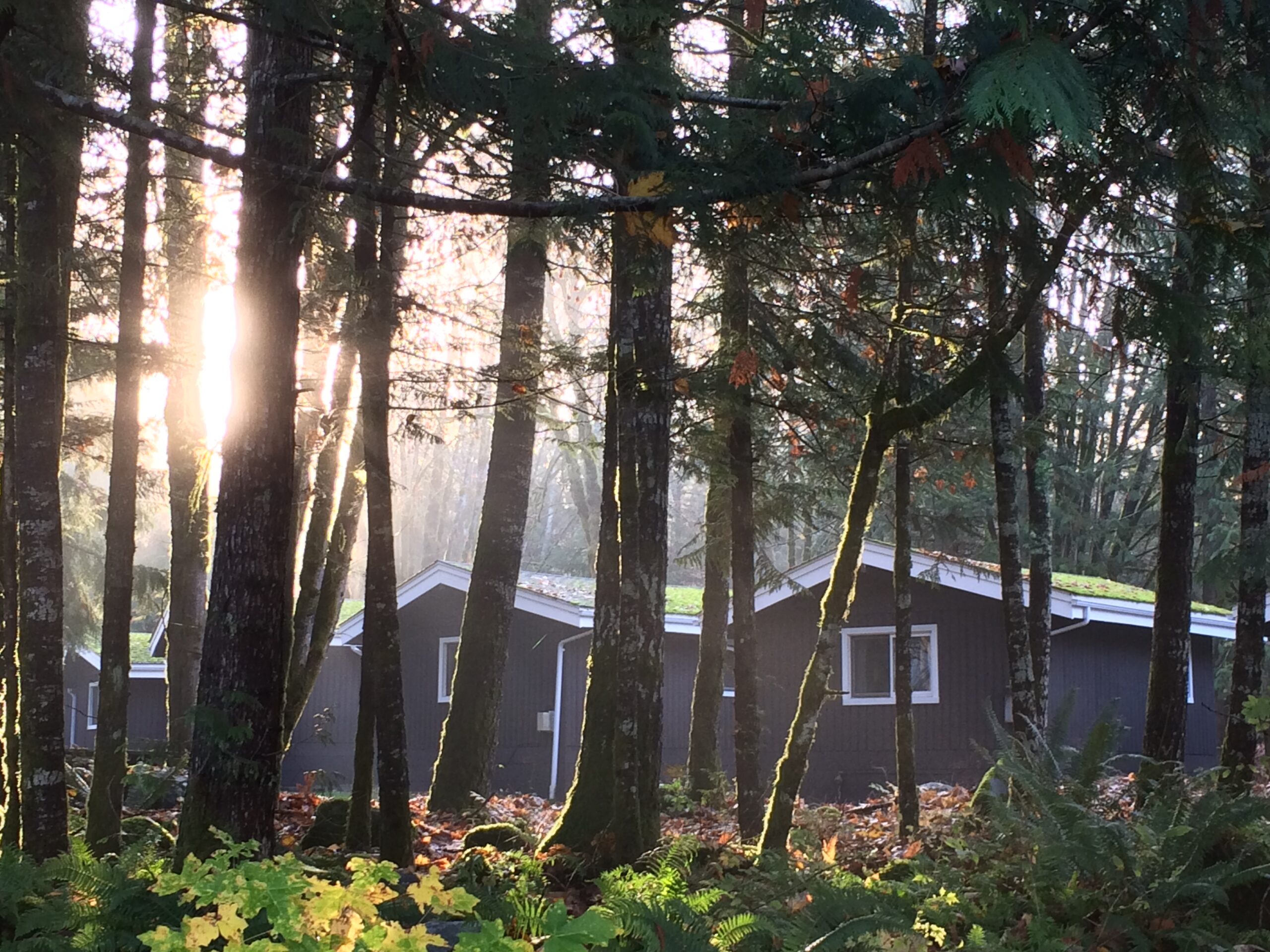 Squamish Cabin Rentals Sunwolf Riverside Resort