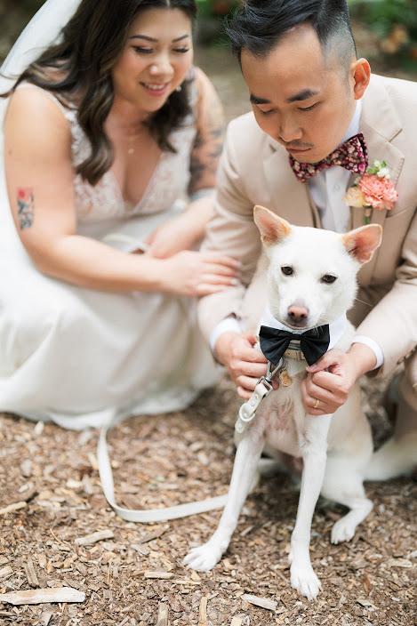 KH-wedding-colour-626
