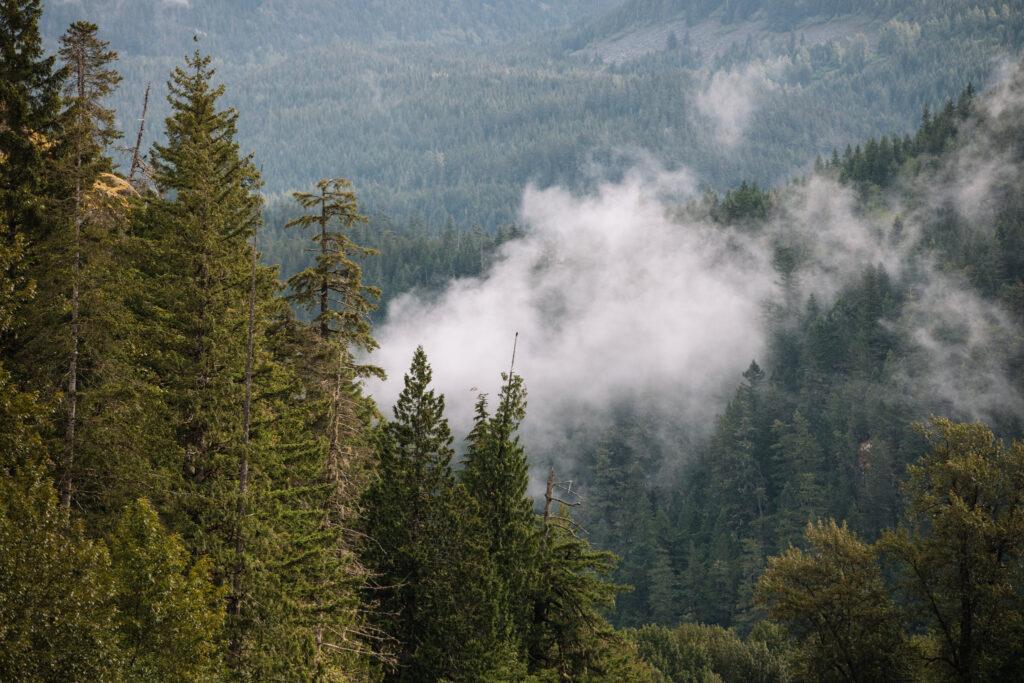 SunwolfCabins_PhotoByTaylorBurk@taylormichaelburk-32